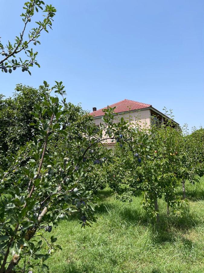 Villa Mance Berat Luaran gambar