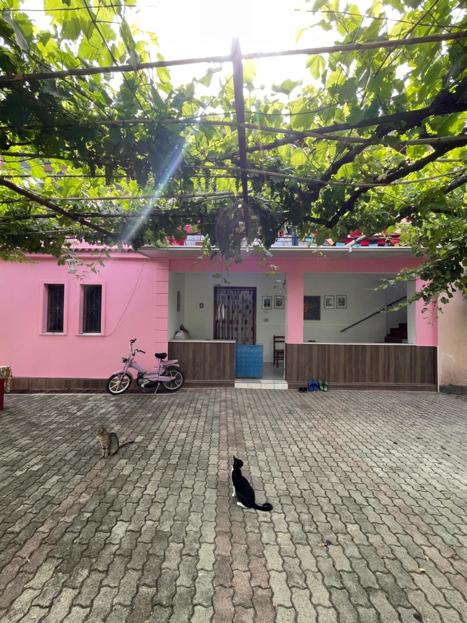Villa Mance Berat Luaran gambar