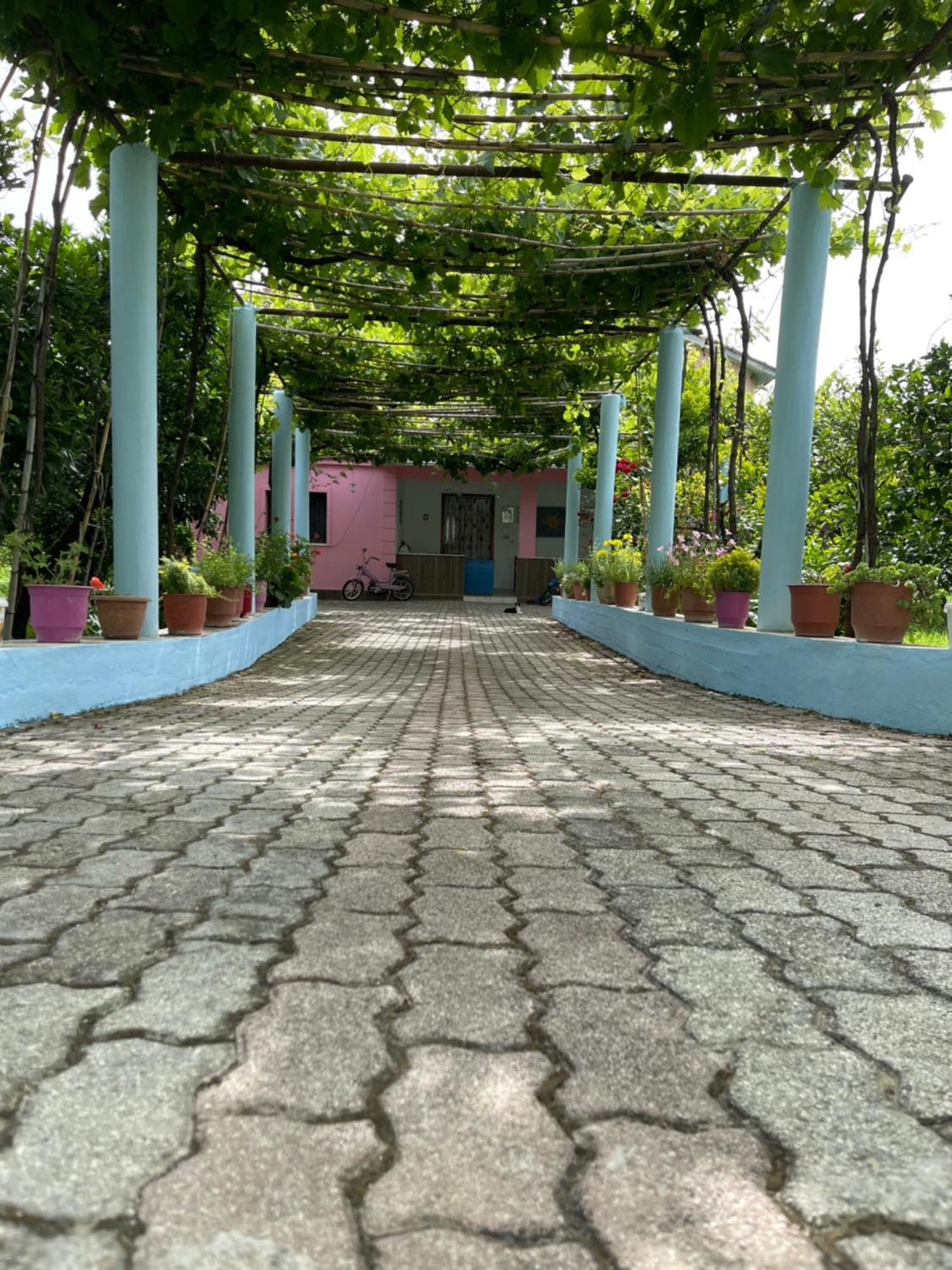 Villa Mance Berat Luaran gambar