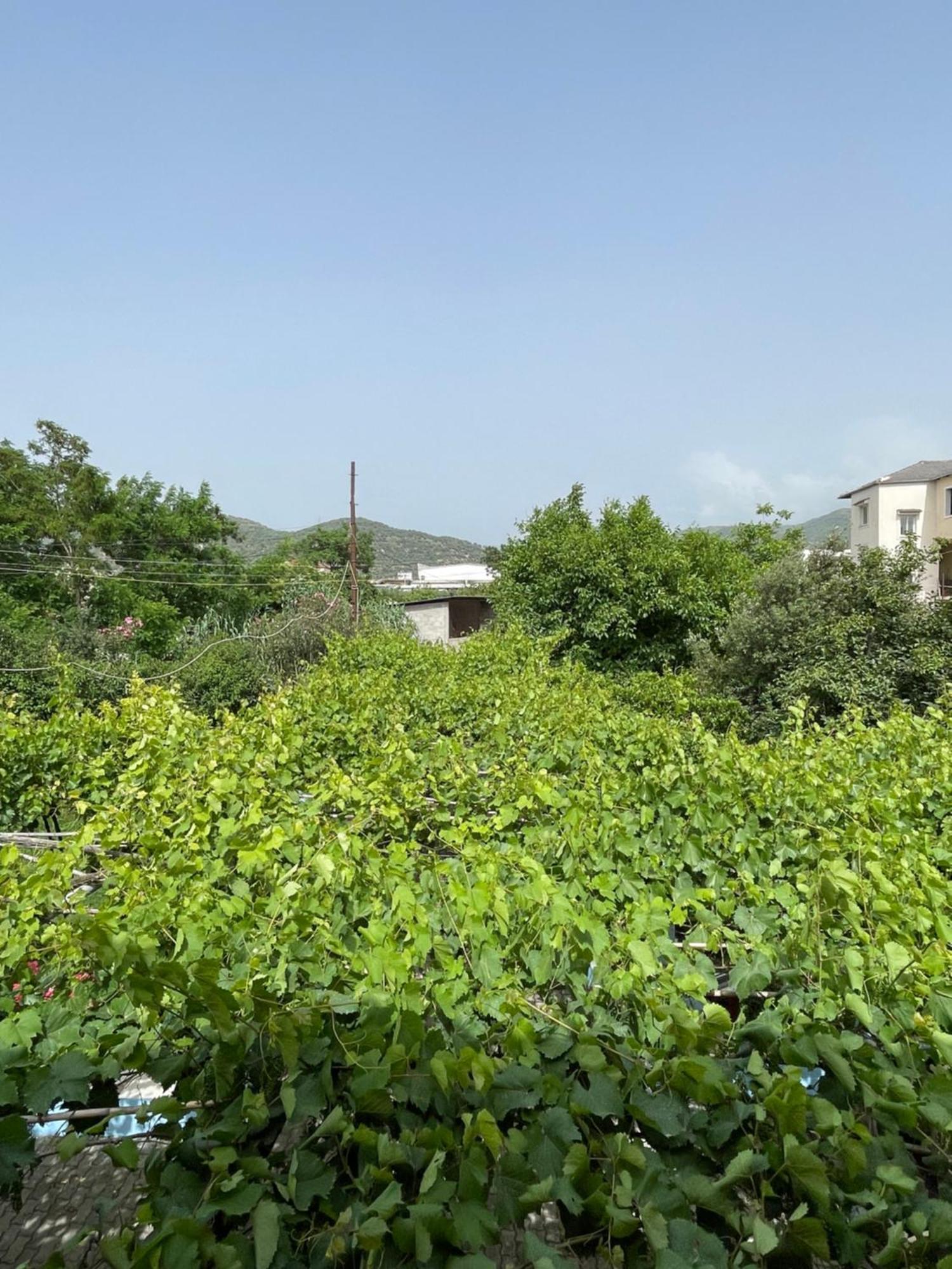 Villa Mance Berat Luaran gambar